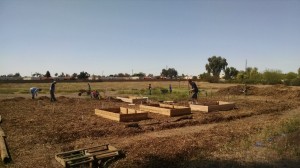 Adding raised beds - 3/25/2017