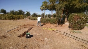 Trenching - 10/15/2016