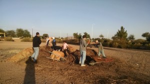 Moving mulch - 12/17/2016