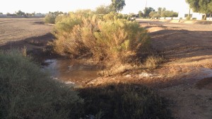 Irrigation water test - 12/27/2016