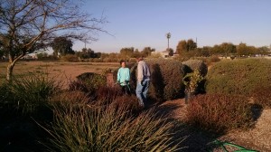 Watering potted plants  soon to be planted - 2/4/2017